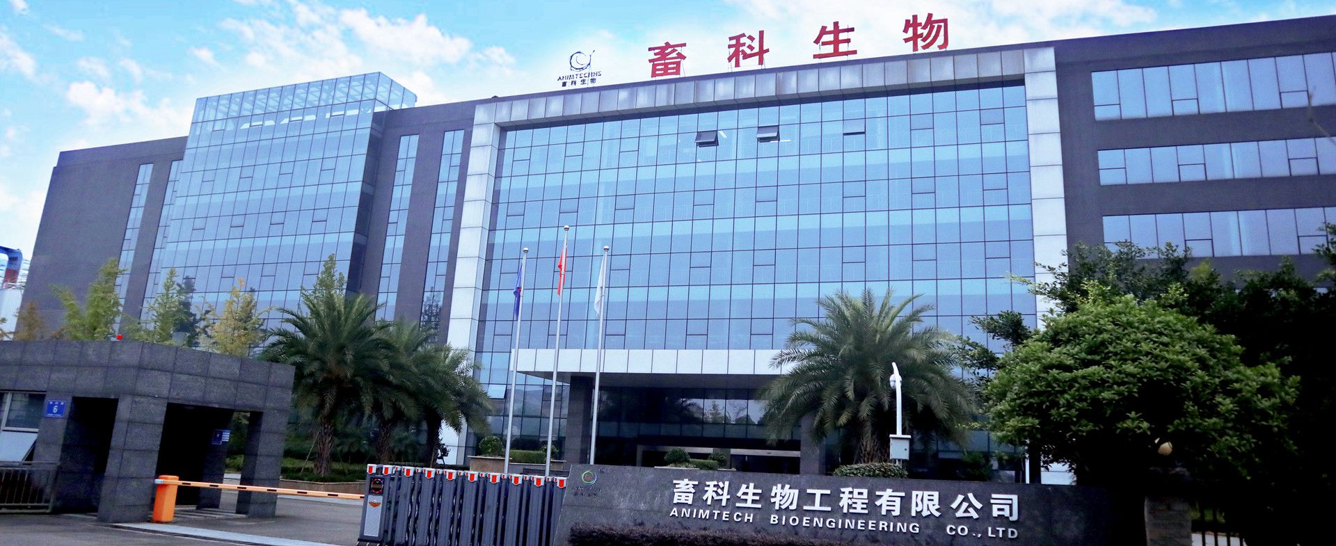 开云体育官网